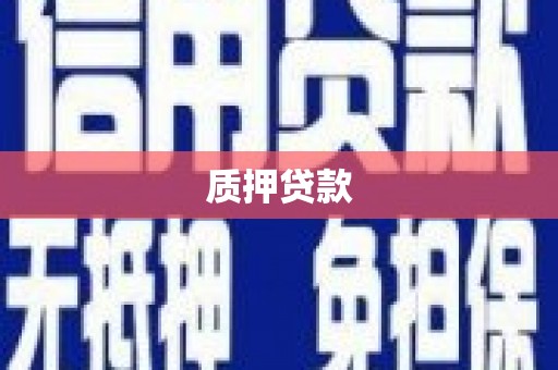 凤阳质押贷款
