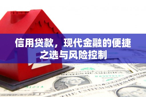 凤阳信用贷款，现代金融的便捷之选与风险控制