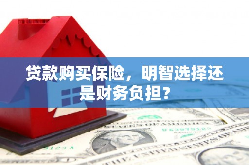 凤阳贷款购买保险，明智选择还是财务负担？