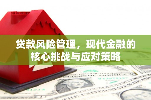 凤阳贷款风险管理，现代金融的核心挑战与应对策略