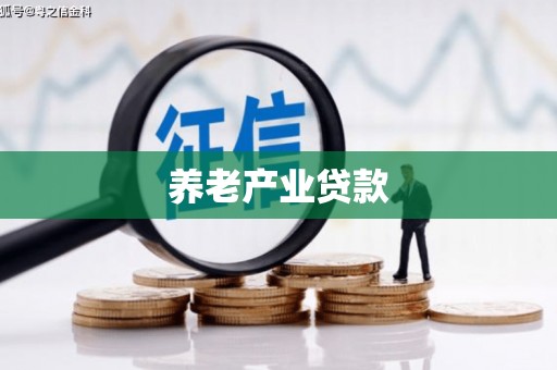 凤阳养老产业贷款