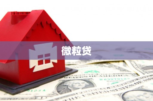 凤阳微粒贷