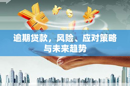 凤阳逾期贷款，风险、应对策略与未来趋势