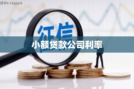凤阳小额贷款公司利率