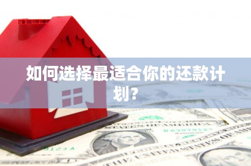 凤阳如何选择最适合你的还款计划？