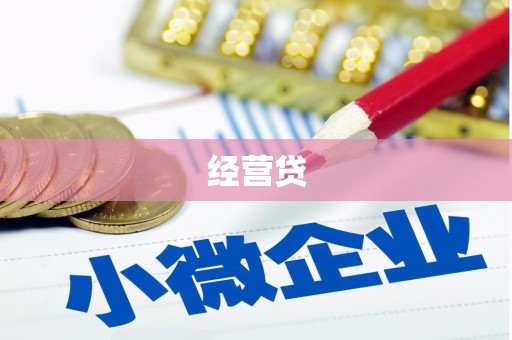 凤阳经营贷