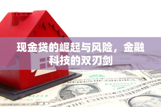 凤阳现金贷的崛起与风险，金融科技的双刃剑