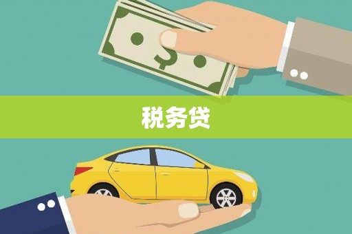 凤阳税务贷