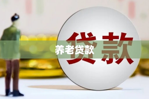 凤阳养老贷款