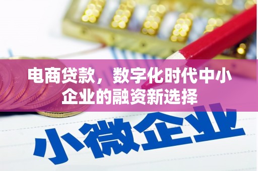 凤阳电商贷款，数字化时代中小企业的融资新选择