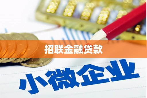 凤阳招联金融贷款