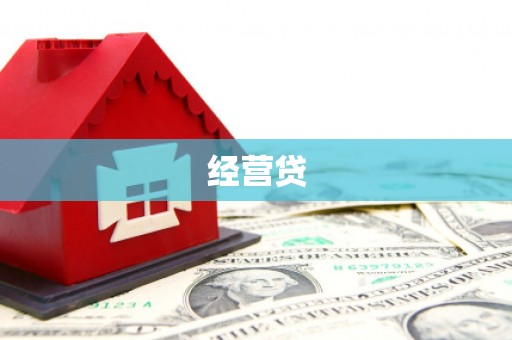 凤阳经营贷