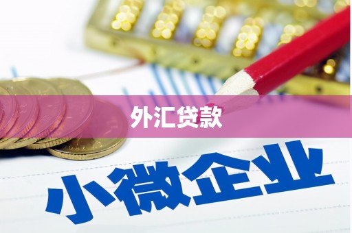 凤阳外汇贷款