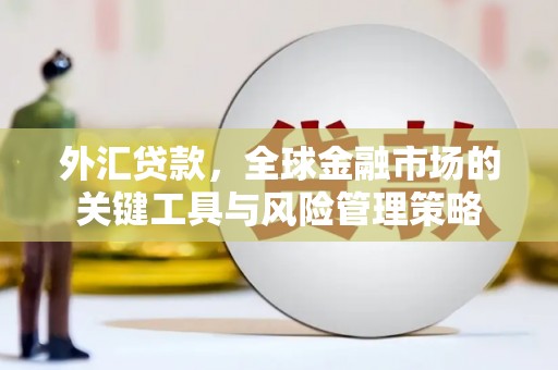 凤阳外汇贷款，全球金融市场的关键工具与风险管理策略