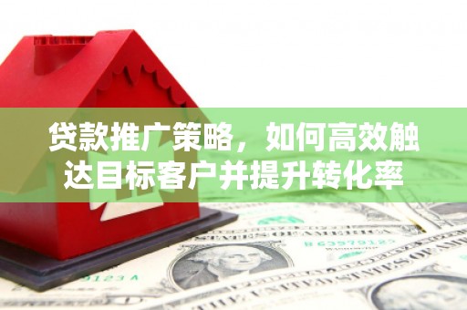凤阳贷款推广策略，如何高效触达目标客户并提升转化率