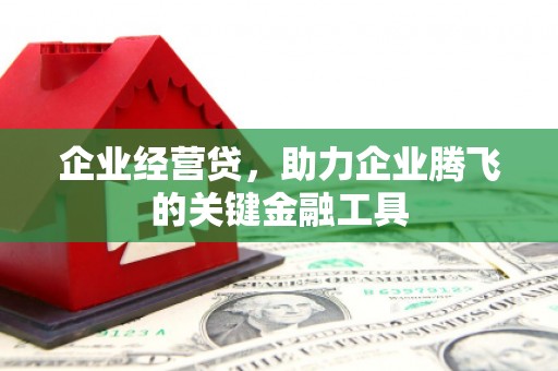 凤阳企业经营贷，助力企业腾飞的关键金融工具