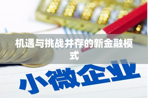 凤阳机遇与挑战并存的新金融模式