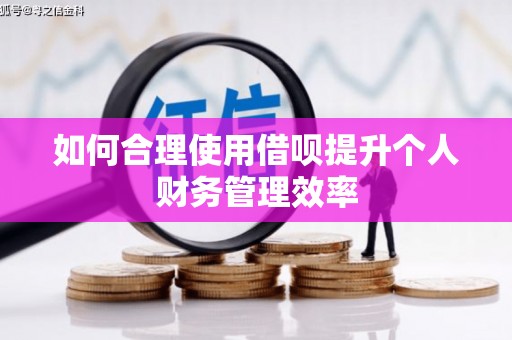 凤阳如何合理使用借呗提升个人财务管理效率