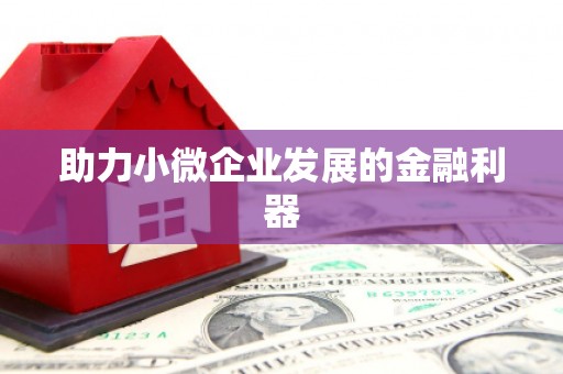 凤阳助力小微企业发展的金融利器