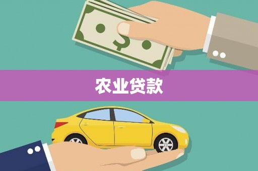 凤阳农业贷款