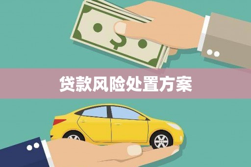 凤阳贷款风险处置方案