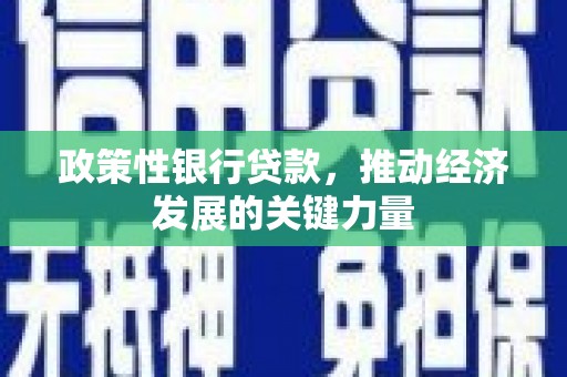 凤阳政策性银行贷款，推动经济发展的关键力量