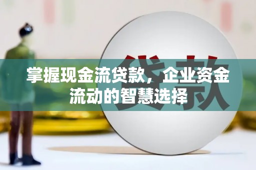 凤阳掌握现金流贷款，企业资金流动的智慧选择