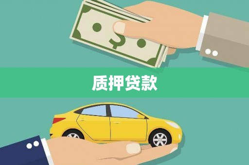 凤阳质押贷款