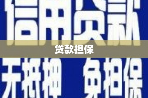 凤阳贷款担保
