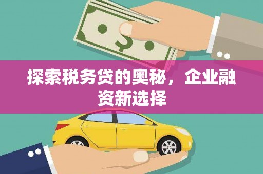 凤阳探索税务贷的奥秘，企业融资新选择
