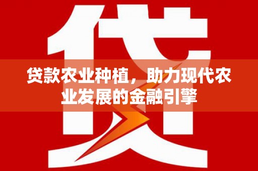 凤阳贷款农业种植，助力现代农业发展的金融引擎