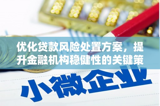 凤阳优化贷款风险处置方案，提升金融机构稳健性的关键策略