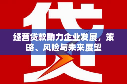 凤阳经营贷款助力企业发展，策略、风险与未来展望