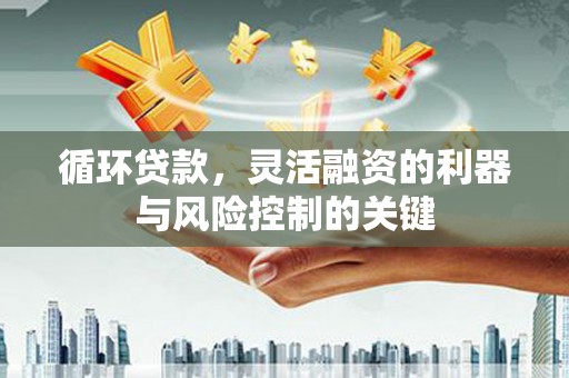 凤阳循环贷款，灵活融资的利器与风险控制的关键