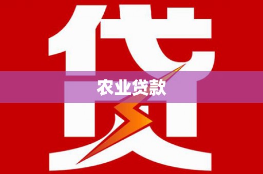 凤阳农业贷款