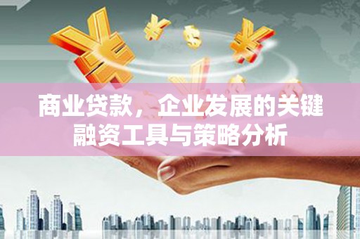凤阳商业贷款，企业发展的关键融资工具与策略分析