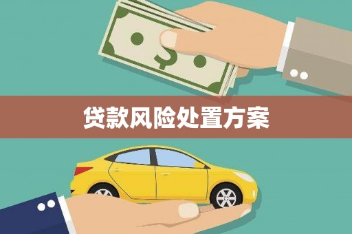 凤阳贷款风险处置方案