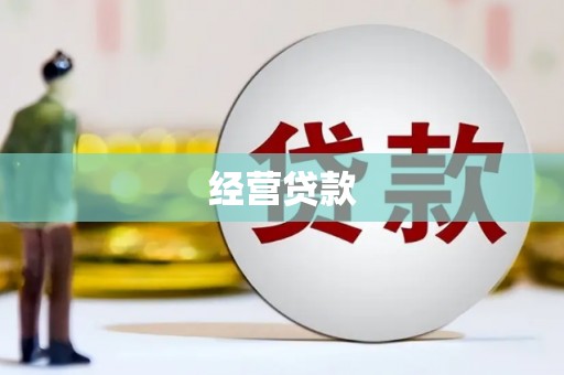 凤阳经营贷款
