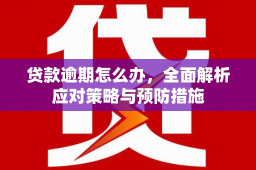 凤阳贷款逾期怎么办，全面解析应对策略与预防措施