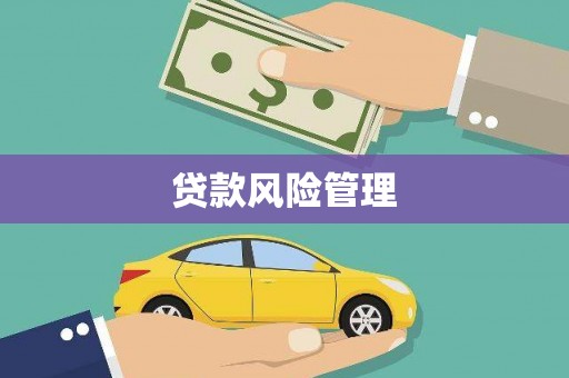 凤阳贷款风险管理