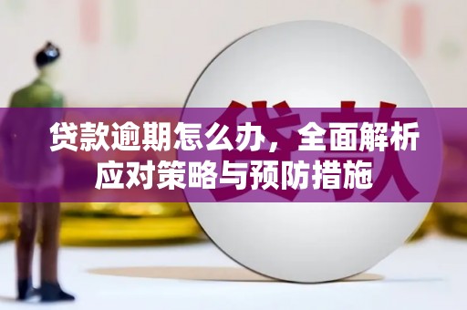 凤阳贷款逾期怎么办，全面解析应对策略与预防措施