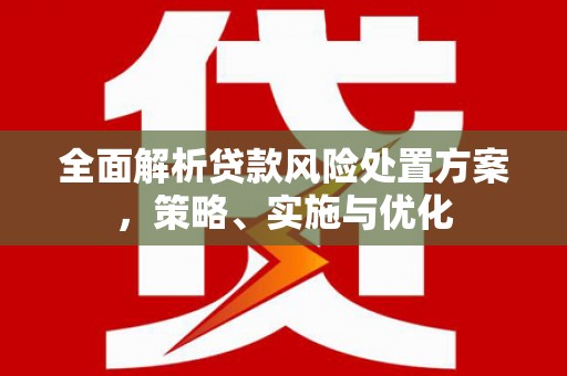 凤阳全面解析贷款风险处置方案，策略、实施与优化