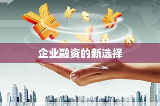 凤阳企业融资的新选择