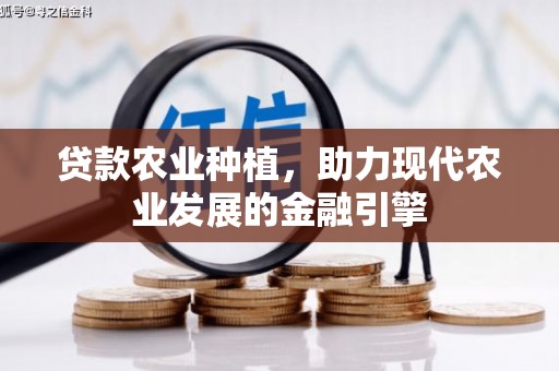 凤阳贷款农业种植，助力现代农业发展的金融引擎