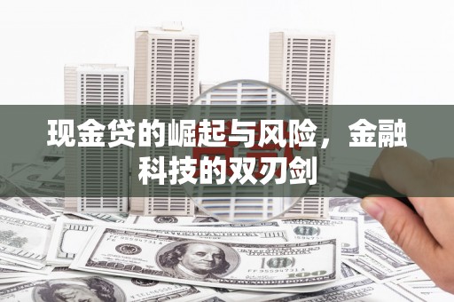凤阳现金贷的崛起与风险，金融科技的双刃剑