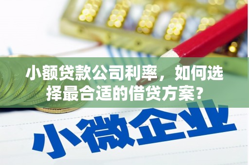 凤阳小额贷款公司利率，如何选择最合适的借贷方案？