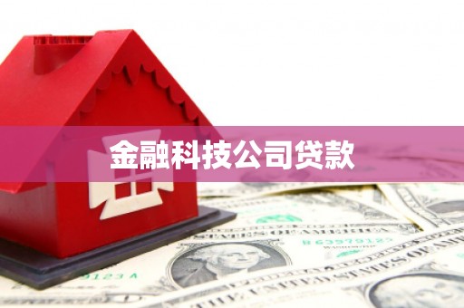 凤阳金融科技公司贷款
