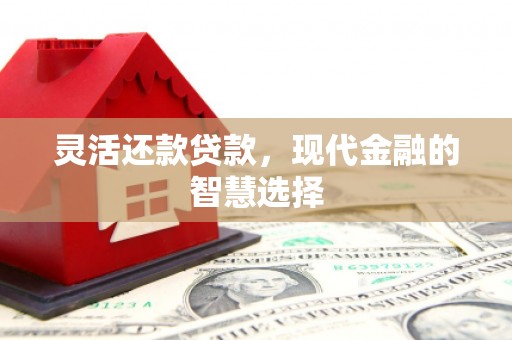 凤阳灵活还款贷款，现代金融的智慧选择