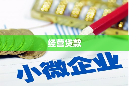凤阳经营贷款