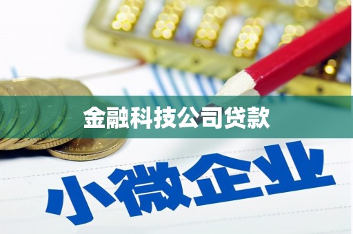 凤阳金融科技公司贷款